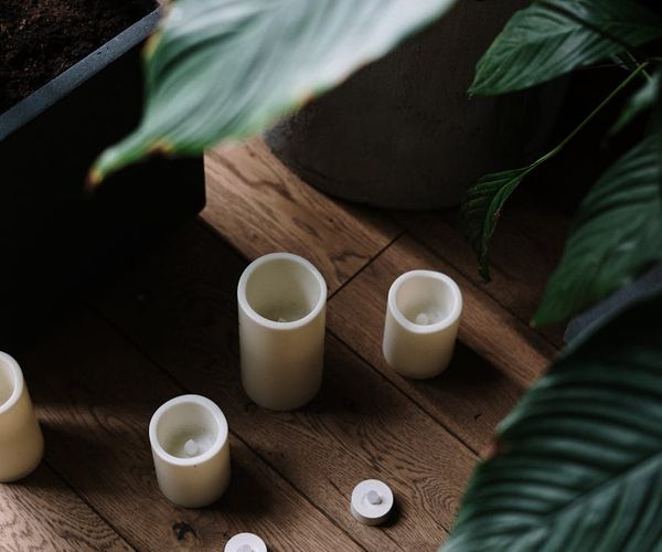 Atmospheric yoga studio with soft lime light and plants